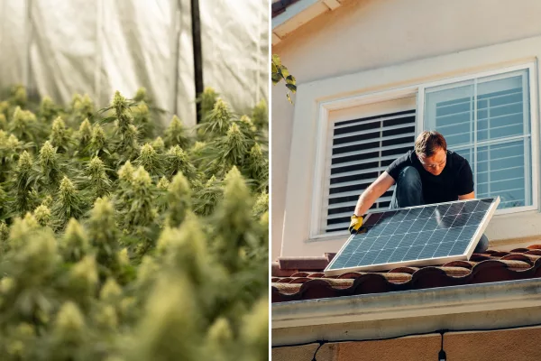 Cannabis Growbox mit PV-Balkonkraftwerk: Nachhaltig produzieren